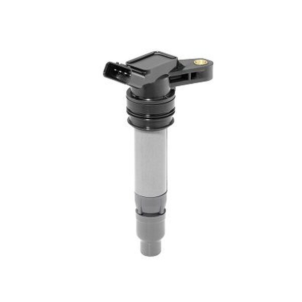 BorgWarner (BERU) ZSE209 Zündspule