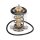 FEBI BILSTEIN 185598 Thermostat, Kühlmittel