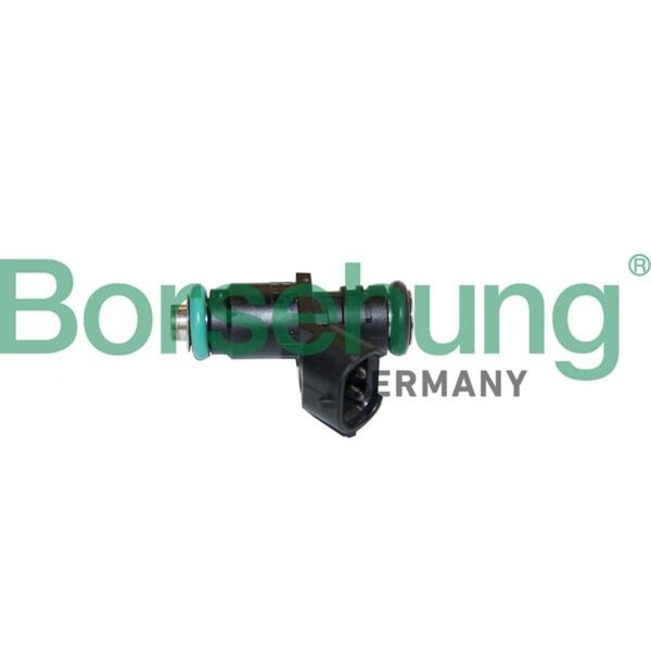 Borsehung B11165 Einspritzventil