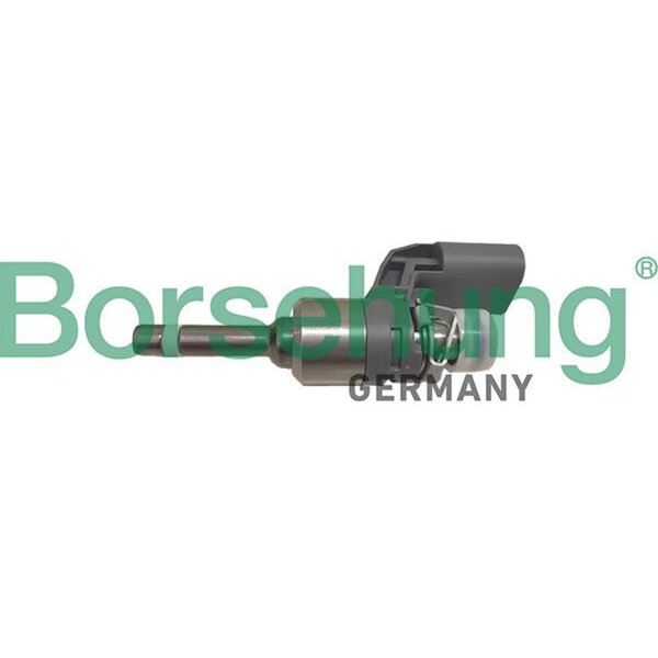 Borsehung B11172 Einspritzventil