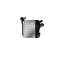 MAHLE CI 719 000P Ladeluftkühler