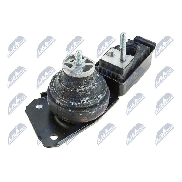 NTY ZPS-WW-083 Lagerung, Motor