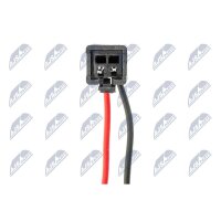 NTY ELP-WW-002 Kennzeichenleuchte