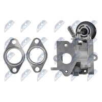 NTY EGR-WW-056 AGR-Ventil