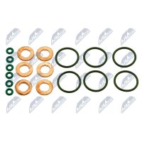 NTY BWP-WW-008 Reparatursatz, Einspritzdüse