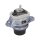 FEBI BILSTEIN 1003244 Lagerung, Motor