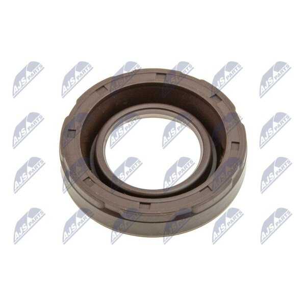 NTY O-NCP-007 Dichtring, Kerzenschacht