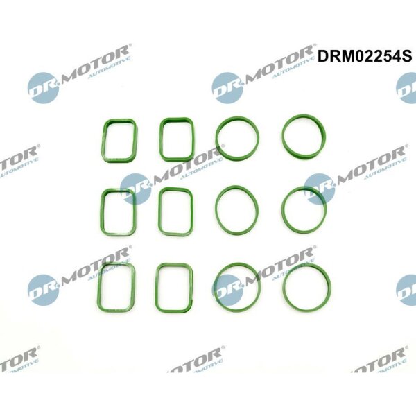 Dr.Motor Automotive DRM02254S Dichtungssatz, Ansaugkrümmer