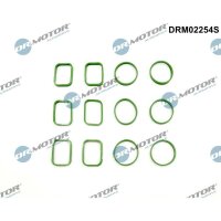 Dr.Motor Automotive DRM02254S Dichtungssatz,...
