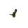 BOSCH 0 261 230 145 Sensor, Kraftstoffdruck