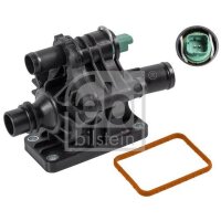 FEBI BILSTEIN 36036 Thermostat, Kühlmittel