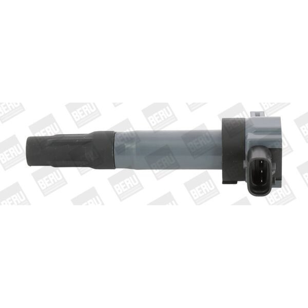 BorgWarner (BERU) ZSE189 Zündspule