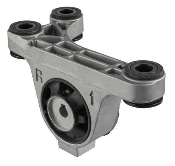LEMFÖRDER 46080 01 Lagerung, Motor