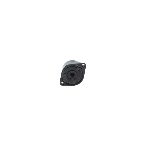 BOSCH 1 987 600 356 Riemenspanner, Keilrippenriemen