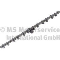 KOLBENSCHMIDT 50056203 Nockenwelle
