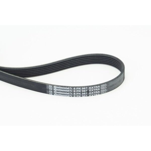 CONTINENTAL CTAM 6PK967 EXTRA Keilrippenriemen