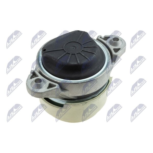 NTY ZPS-ME-038 Lagerung, Motor