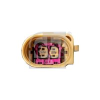 FEBI BILSTEIN 172227 Lagerung, Motor