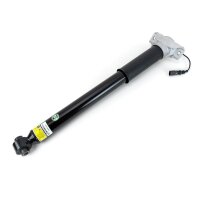 Arnott SKE-5690 Stoßdämpfer