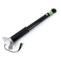 Arnott SKE-5690 Stoßdämpfer