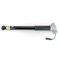 Arnott SKE-5690 Stoßdämpfer