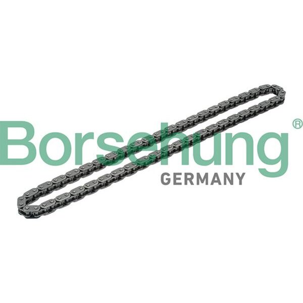 Borsehung B1C020 Steuerkette