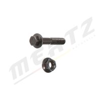 MERTZ M-S1016 Lenker, Radaufhängung