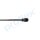 PROFLEX AUTOMOTIVE PX2-0195 Gasfeder, Koffer-/Laderaum