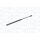 MAGNETI MARELLI 430719328005 Gasfeder, Koffer-/Laderaum