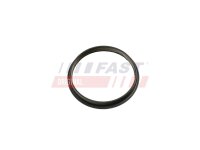 FAST FT49853 Dichtung, Unterdruckpumpe