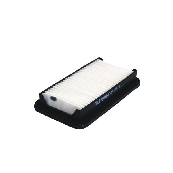 FILTRON AP 176/5 Luftfilter