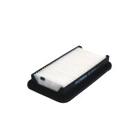 FILTRON AP 176/5 Luftfilter