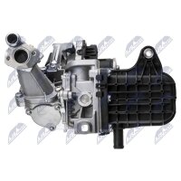 NTY EGR-PE-017 AGR-Ventil