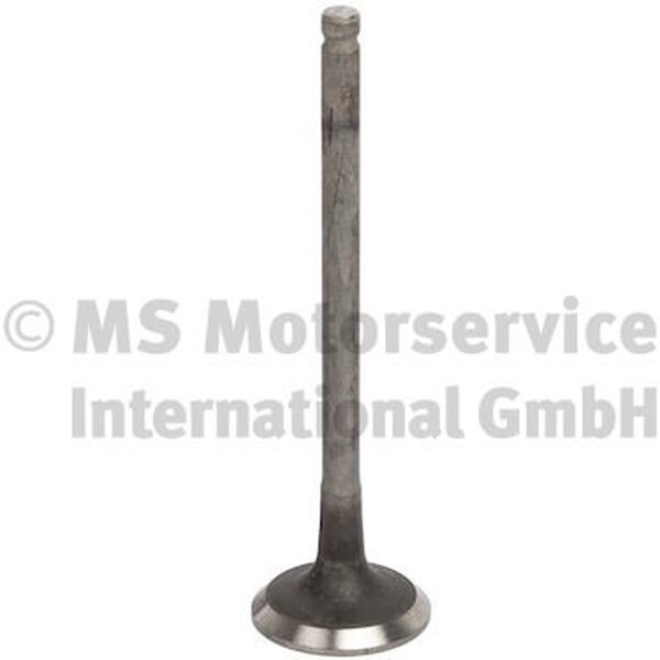 TRW Engine Component 769001 Auslassventil