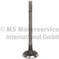 TRW Engine Component 769001 Auslassventil