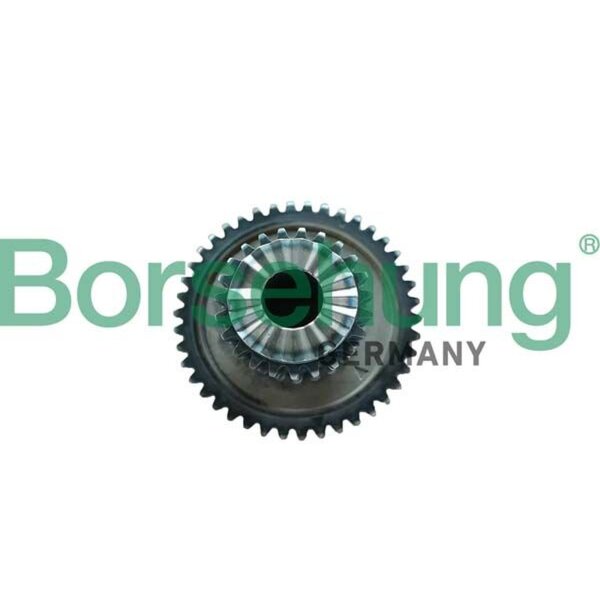 Borsehung B12746 Steuerkette