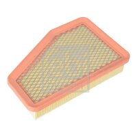 FEBI BILSTEIN 176952 Luftfilter