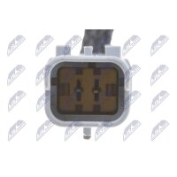 NTY BPO-PE-002 Ölpumpe