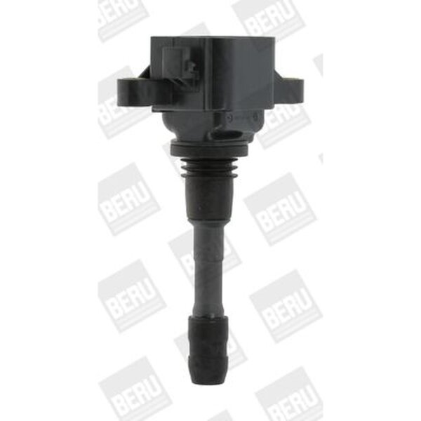 BorgWarner (BERU) ZSE066 Zündspule
