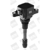 BorgWarner (BERU) ZSE066 Zündspule