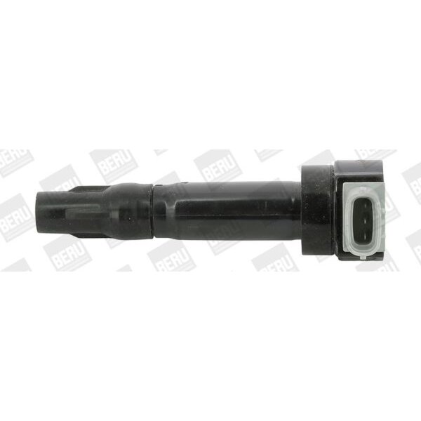 BorgWarner (BERU) ZS547 Zündspule