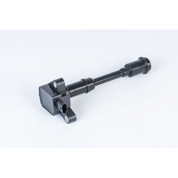 BorgWarner (BERU) ZSE203 Zündspule