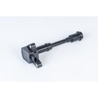 BorgWarner (BERU) ZSE203 Zündspule