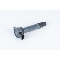 BorgWarner (BERU) ZSE207 Zündspule