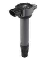 BorgWarner (BERU) ZSE207 Zündspule