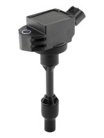 BorgWarner (BERU) ZSE322 Zündspule