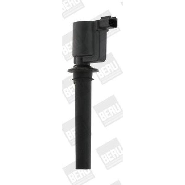 BorgWarner (BERU) ZS410 Zündspule
