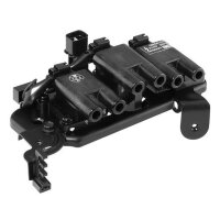 BorgWarner (BERU) ZS485 Zündspule