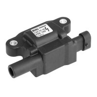 BorgWarner (BERU) ZSE159 Zündspule
