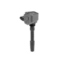 BorgWarner (BERU) ZSE226 Zündspule